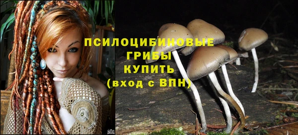 ПСИЛОЦИБИНОВЫЕ ГРИБЫ Баксан