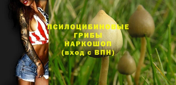ECSTASY Балахна