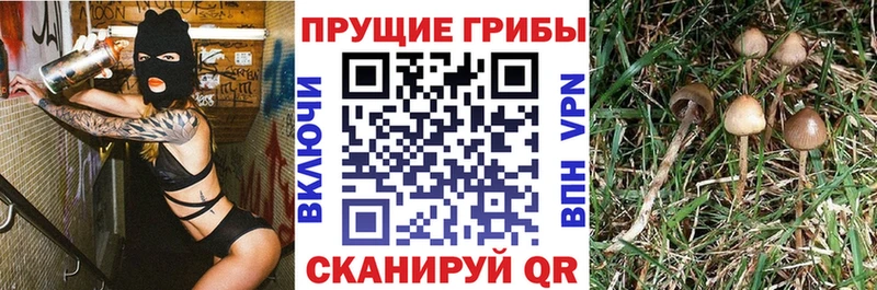 Псилоцибиновые грибы мухоморы  Нариманов 
