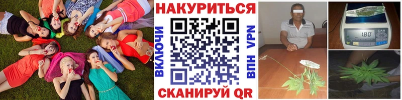 Канабис конопля Нариманов